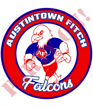 PARTY ON Austintown Fitch Falcons Sticker 9.5in