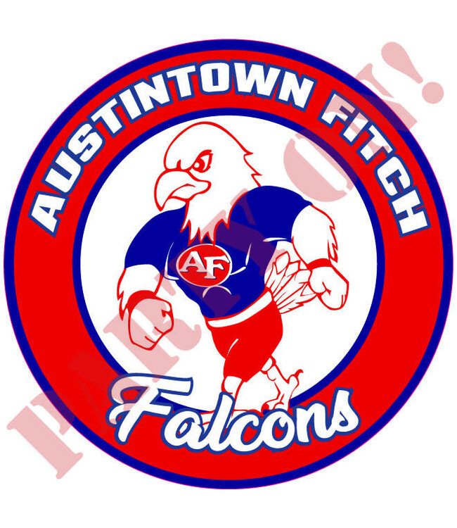 PARTY ON Austintown Fitch Falcons Sticker 9.5in