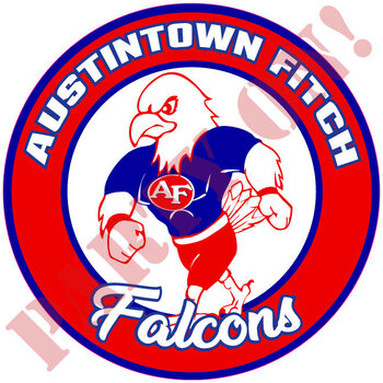 Austintown Fitch Falcons