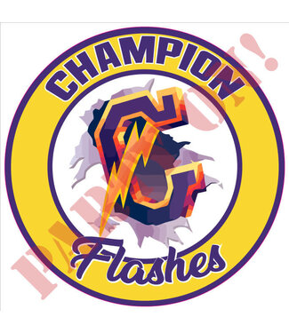 PARTY ON Champion Flashes Sticker 9.5in