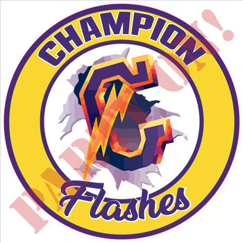 Champion Flashes