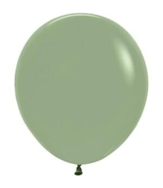 Sempertex 18 inch Sempertex Deluxe Eucalyptus latex 6 count