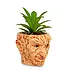TOYNK A Nightmare On Elm Street Freddy Krueger Ceramic Planter w/ Artificial Succulent