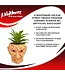 TOYNK A Nightmare On Elm Street Freddy Krueger Ceramic Planter w/ Artificial Succulent