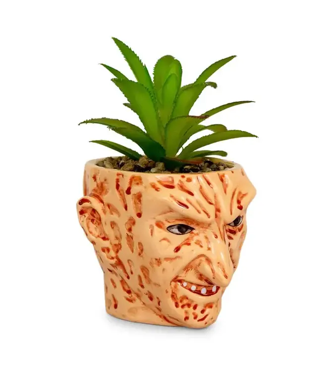 TOYNK A Nightmare On Elm Street Freddy Krueger Ceramic Planter w/ Artificial Succulent