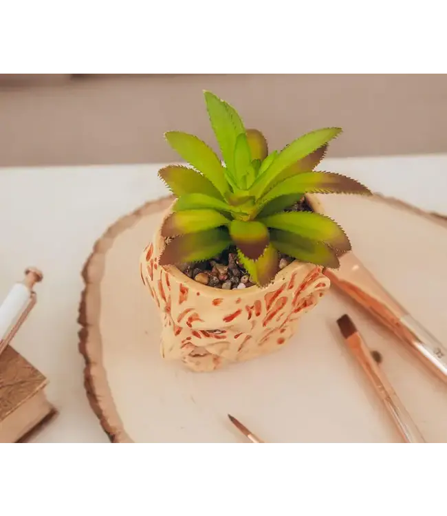 TOYNK A Nightmare On Elm Street Freddy Krueger Ceramic Planter w/ Artificial Succulent