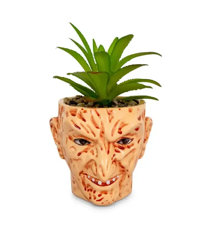 TOYNK A Nightmare On Elm Street Freddy Krueger Ceramic Planter w/ Artificial Succulent
