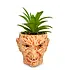 TOYNK A Nightmare On Elm Street Freddy Krueger Ceramic Planter w/ Artificial Succulent