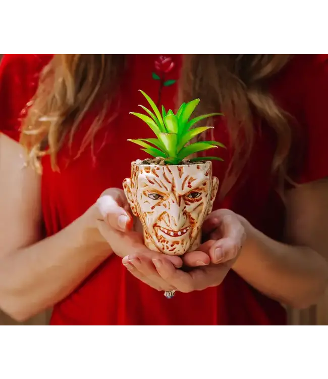 TOYNK A Nightmare On Elm Street Freddy Krueger Ceramic Planter w/ Artificial Succulent