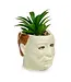 TOYNK Halloween Michael Myers 3-Inch Ceramic Mini Planter With Artificial Succulent