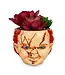 Child's Play Child's Play Chucky 3-Inch Ceramic Mini Planter with Artificial Succulent