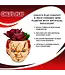 Child's Play Child's Play Chucky 3-Inch Ceramic Mini Planter with Artificial Succulent