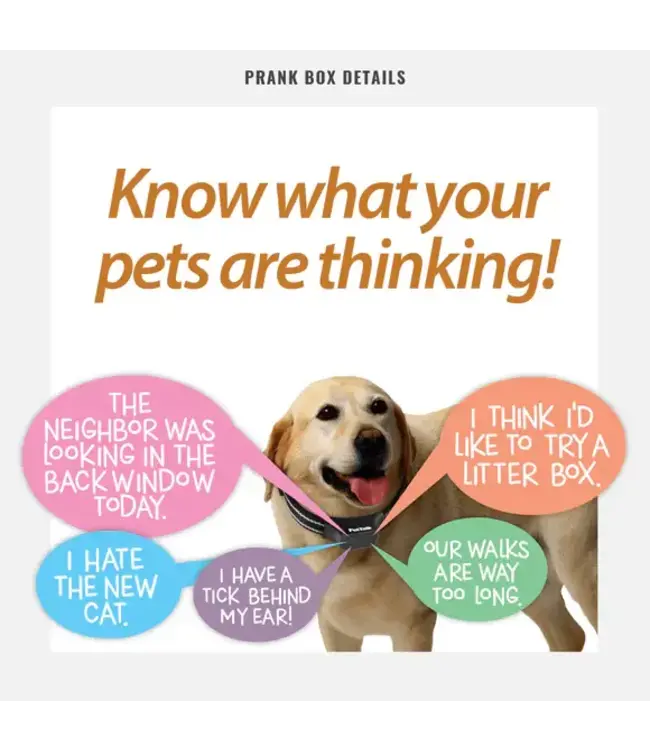 PRANK-O Prank Gift Box Pet Talk