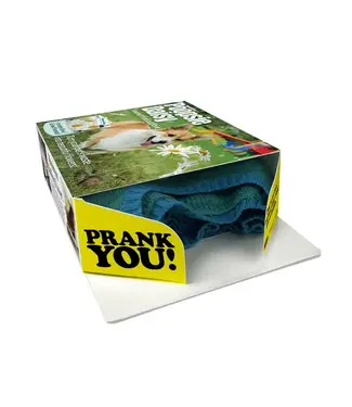 PRANK-O Prank Gift Box Poopsie Daisy