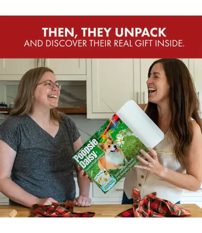 PRANK-O Prank Gift Box Poopsie Daisy