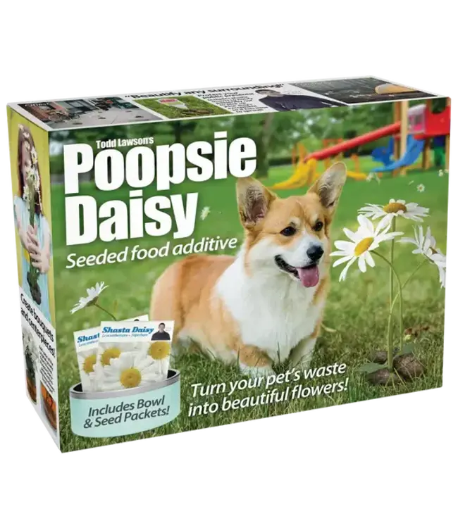 PRANK-O Prank Gift Box Poopsie Daisy