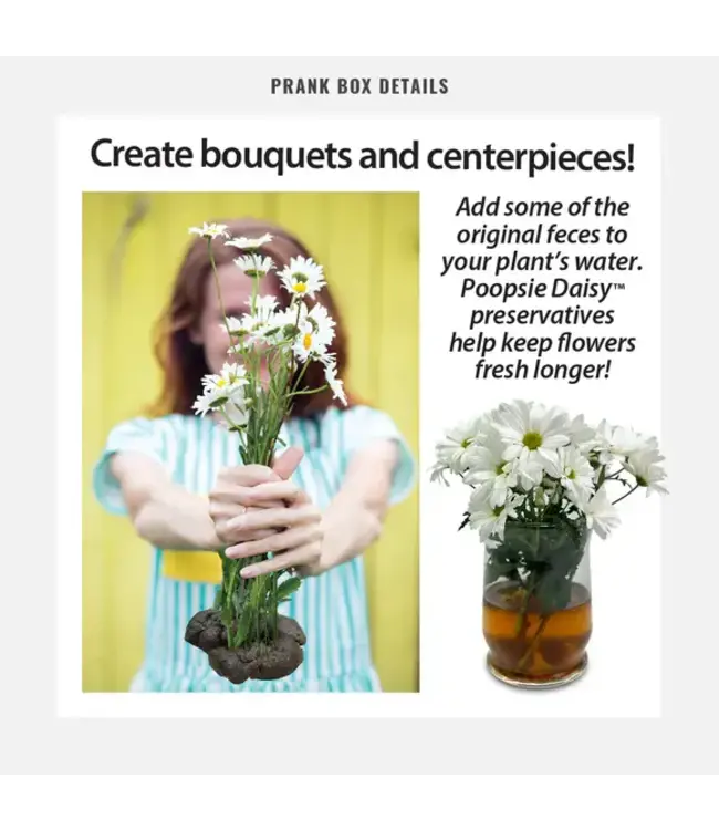PRANK-O Prank Gift Box Poopsie Daisy
