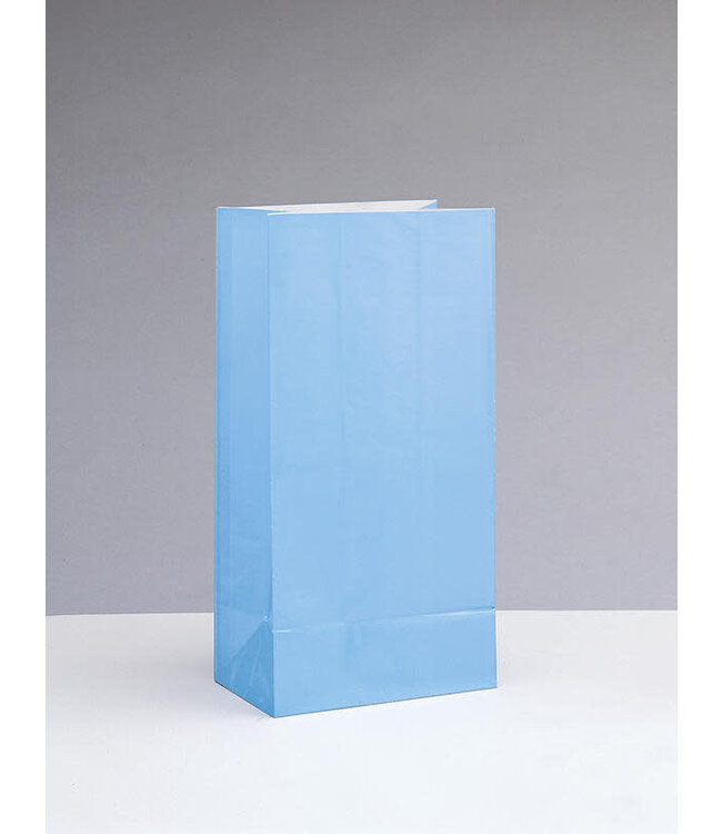 UNIQUE INDUSTRIES INC Powder Blue Paper Party Bags-12ct