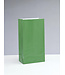 UNIQUE INDUSTRIES INC Green Paper Party Bags-12 count