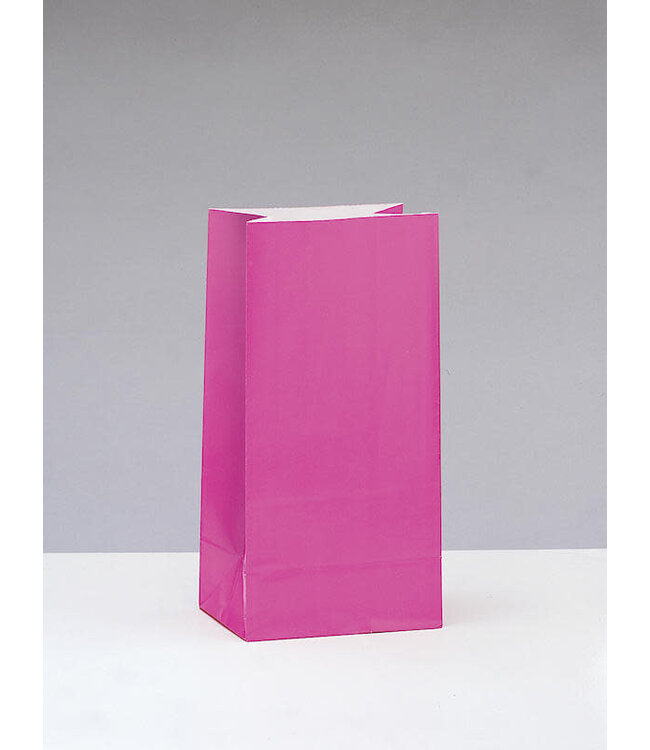 UNIQUE INDUSTRIES INC Hot Pink Paper Party Bags-12ct