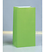 UNIQUE INDUSTRIES INC Lime Green Paper Party Bags-12 count