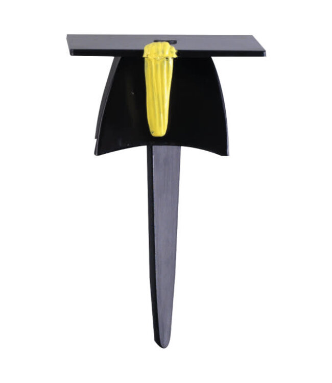 BAKERY CRAFTS 3D Grad Hat DecoPics®