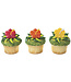 BAKERY CRAFTS Hibiscus Flower Cupcake Rings