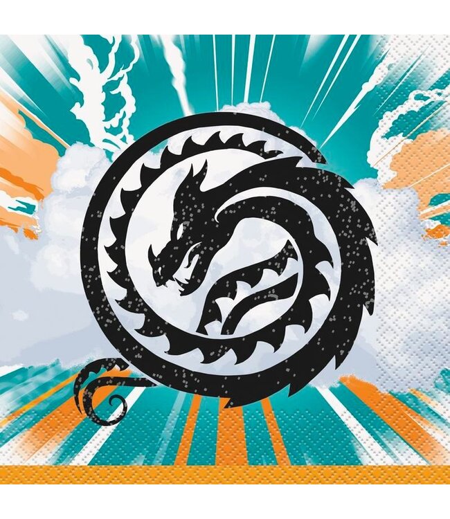 UNIQUE INDUSTRIES INC How to Train Your Dragon™ Party Disposable Paper Luncheon Napkins – 16 Ct.