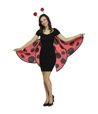 Fun World Lady Bug Soft Wing Set