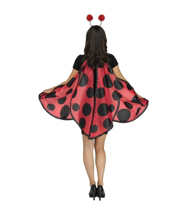 Fun World Lady Bug Soft Wing Set