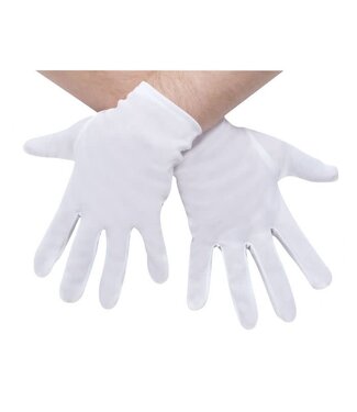 Fun World Plus Size Character Gloves