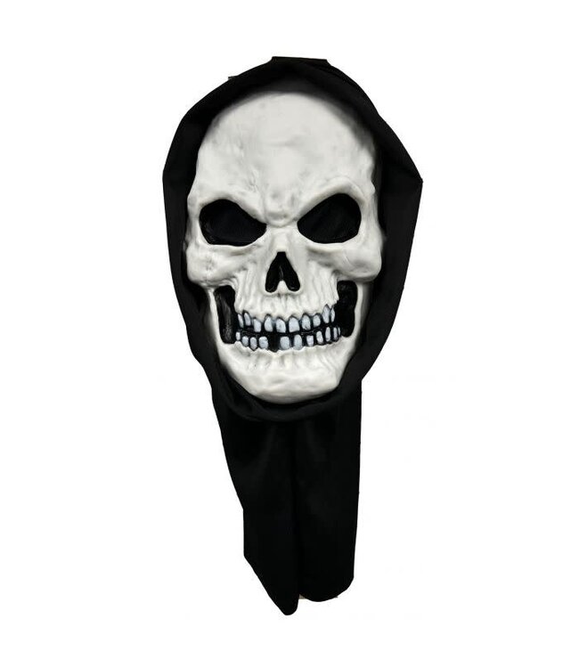Fun World GID Skull Mask w/ Hood