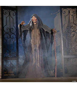 FUN EXPRESS 5FT ANIMATED STANDING WITCH