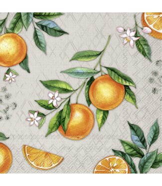 BOSTON INTERNATIONAL 20CT LUN ORANGE GREY