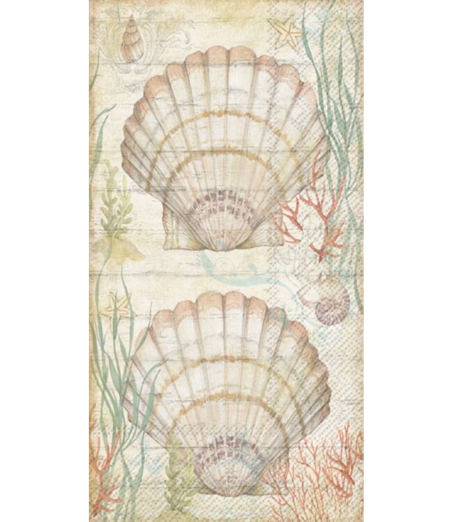 BOSTON INTERNATIONAL 16CT GUEST SHELL AND CORAL