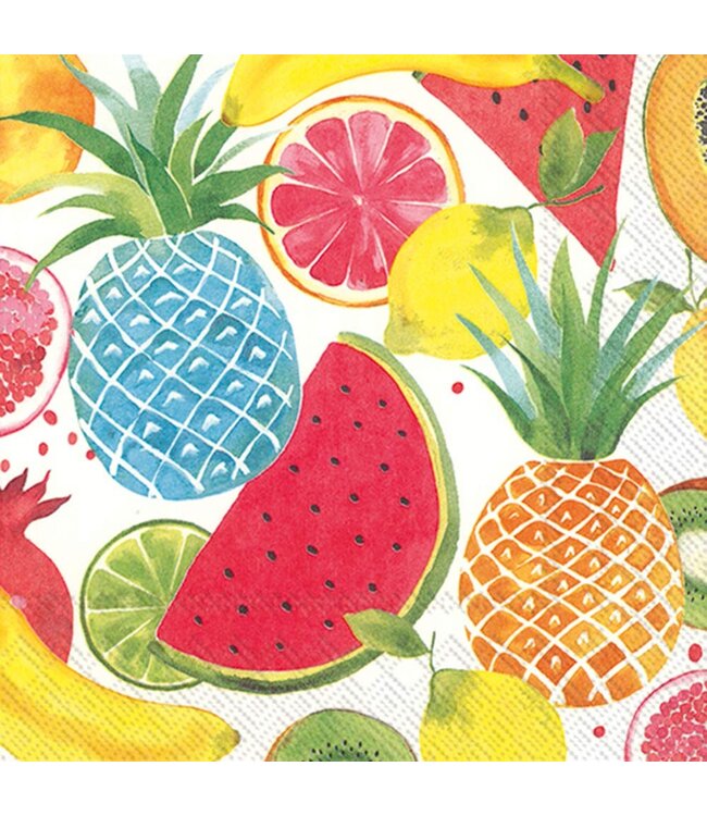 BOSTON INTERNATIONAL 20CT BEV FRUITY FRUITS