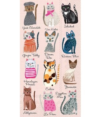 BOSTON INTERNATIONAL 20CT BEV FLORAL CAT