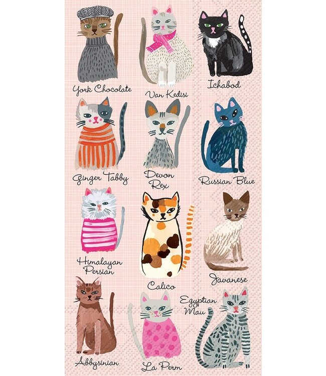 BOSTON INTERNATIONAL 20CT BEV FLORAL CAT