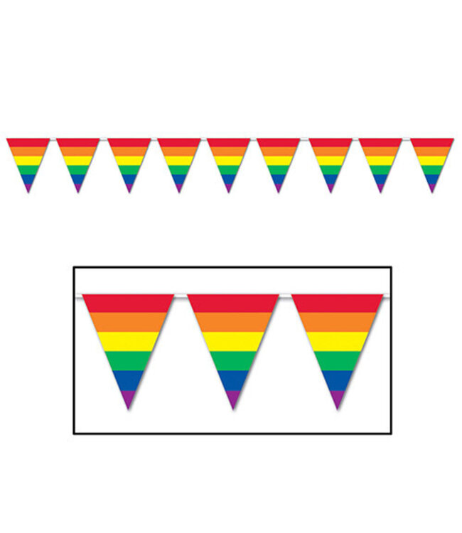 BEISTLE 30FT PENNANT BANNER RAINBOW