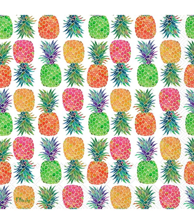 BOSTON INTERNATIONAL 20CT BEV EXOTIC PINEAPPLE