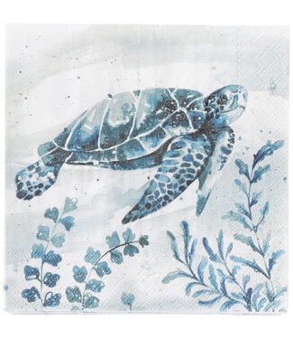 BOSTON INTERNATIONAL 20CT BEV AQUAWORLD WATERTURTLE