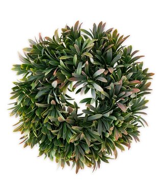 BOSTON INTERNATIONAL LAUREL LEAVES WREATH GREEN/PINK