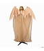 Morris 5.5FT STANDING ANIMATED REAPER WITH WINGS