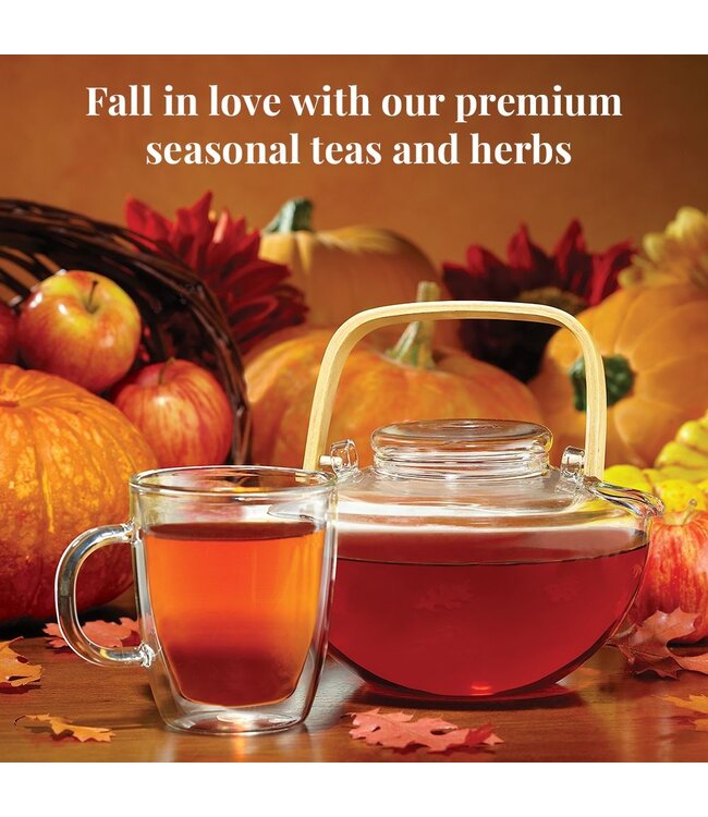 THE REPUBLIC OF TEA Pumpkin Spice Black Tea Bags-50 Count