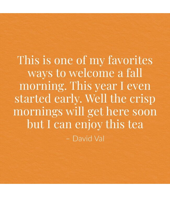 THE REPUBLIC OF TEA Pumpkin Spice Black Tea Bags-50 Count