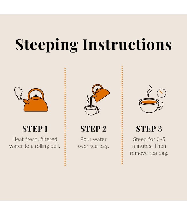 THE REPUBLIC OF TEA Pumpkin Spice Black Tea Bags-50 Count