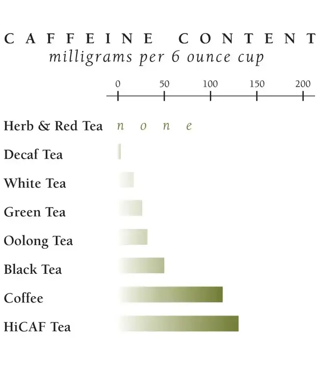 THE REPUBLIC OF TEA Fall Harvest Tea Assortment