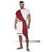 CALIFORNIA COSTUMES Party Toga Adult Costume