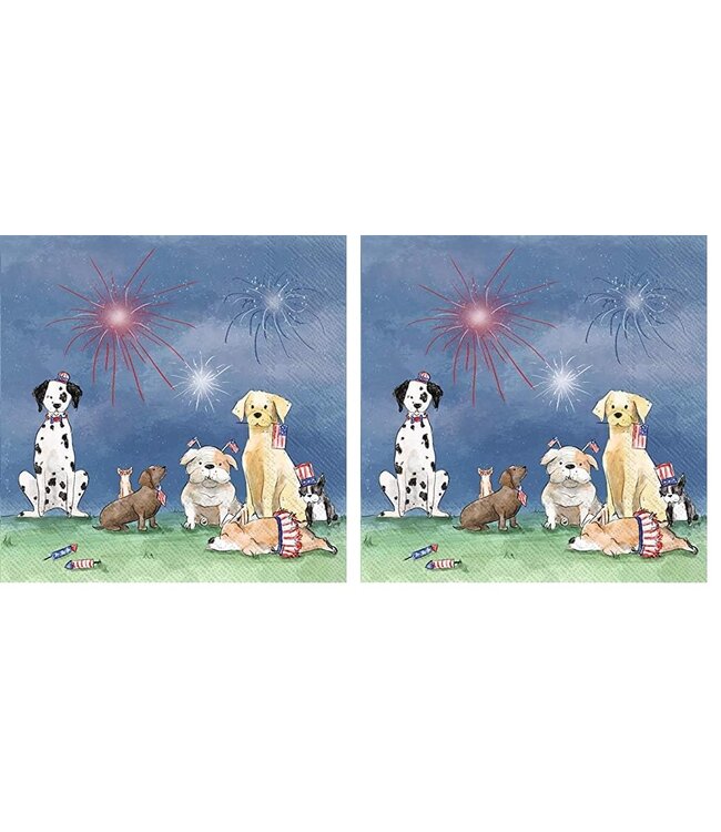 BOSTON INTERNATIONAL 20CT BEV PATRIOTIC PUPS