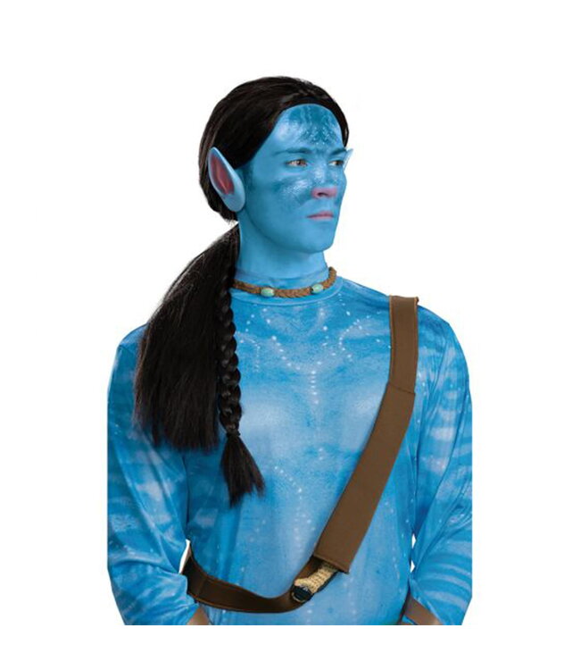 DISGUISE JAKE SULLY WIG AVATAR